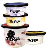 Noosa Yoghurt Review | SheSpeaks